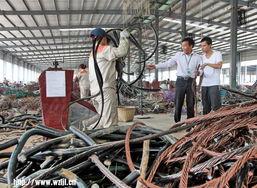騰飛中的梧州進口再生資源加工園 綠色循環與數字賦能的雙重奏